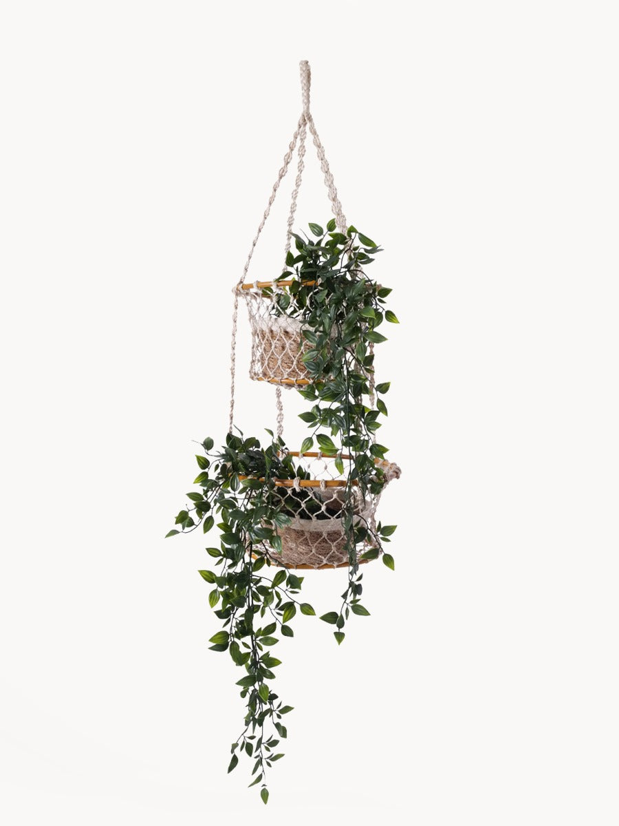 Jhuri Double Hanging Basket in - PLANT DECOR photo
