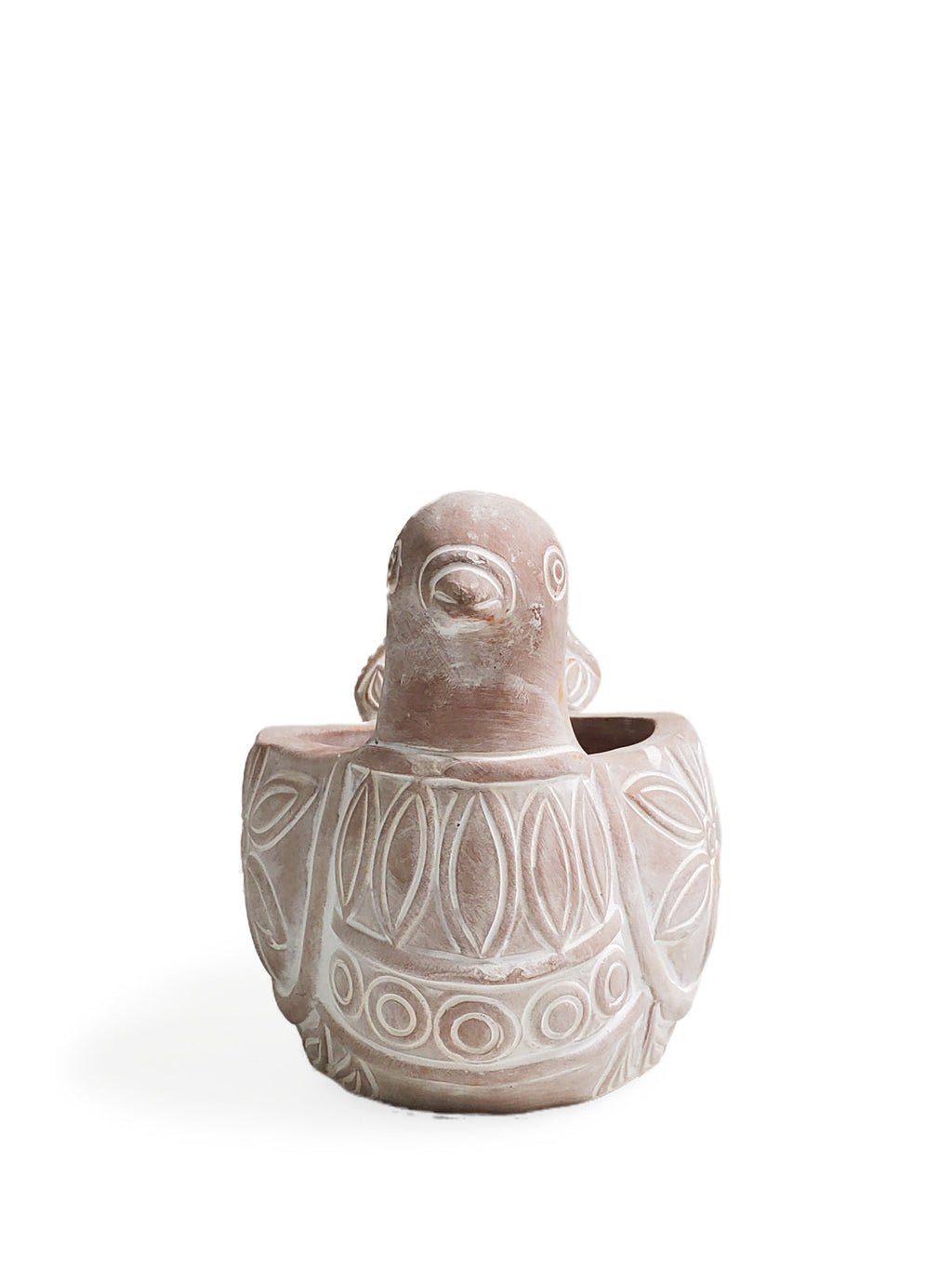 Terracotta Pot - Spotted Dove in - PLANT DECOR photo