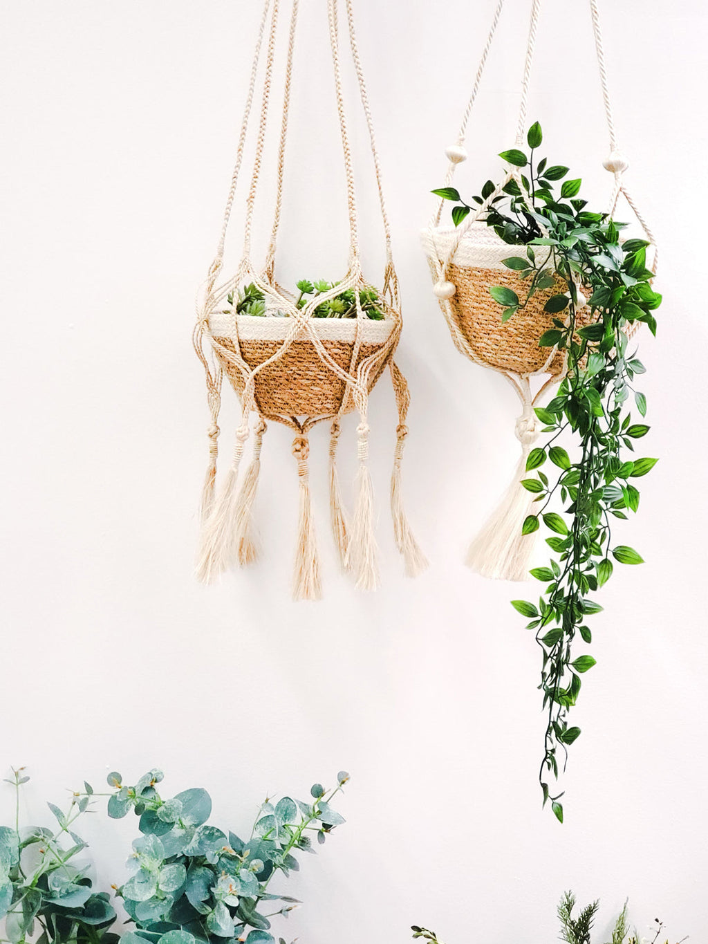 Plant Hanger - Bitan in - PLANT DECOR photo