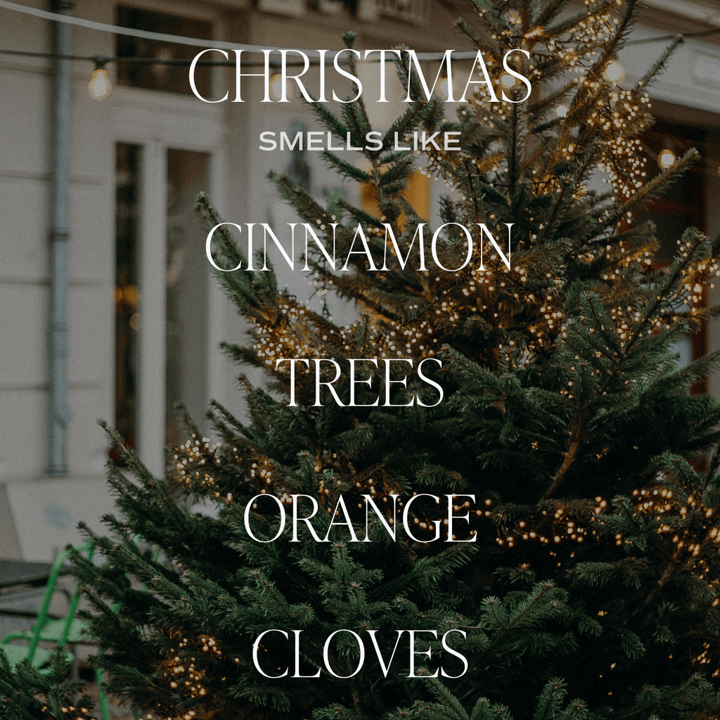 Christmas Candle Gift Box Set (Christmas, Warm and Cozy, Fraser Fir) in - Candle Set photo