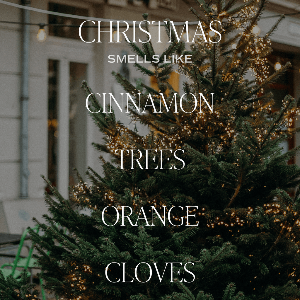 Christmas Candle Gift Box Set (Christmas, Warm and Cozy, Fraser Fir) in - Candle Set photo