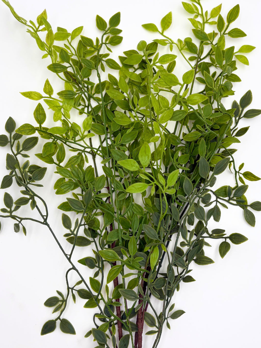 Artificial Italian Ruscus Stems - Bundle of 4 in - Florals photo