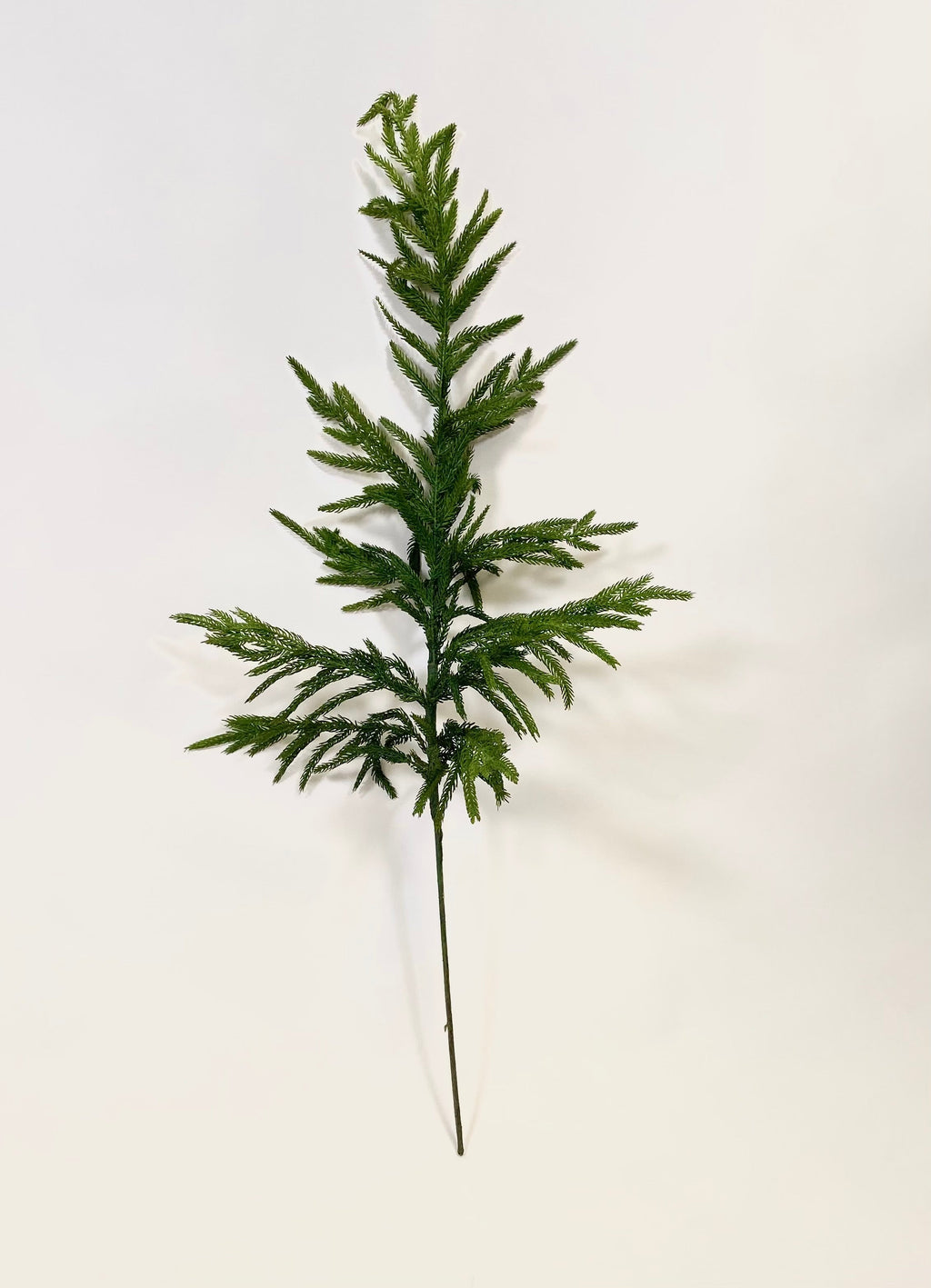 Artificial Real Touch 36” Norfolk Pine Stems - Bundle of 4 in - Florals photo