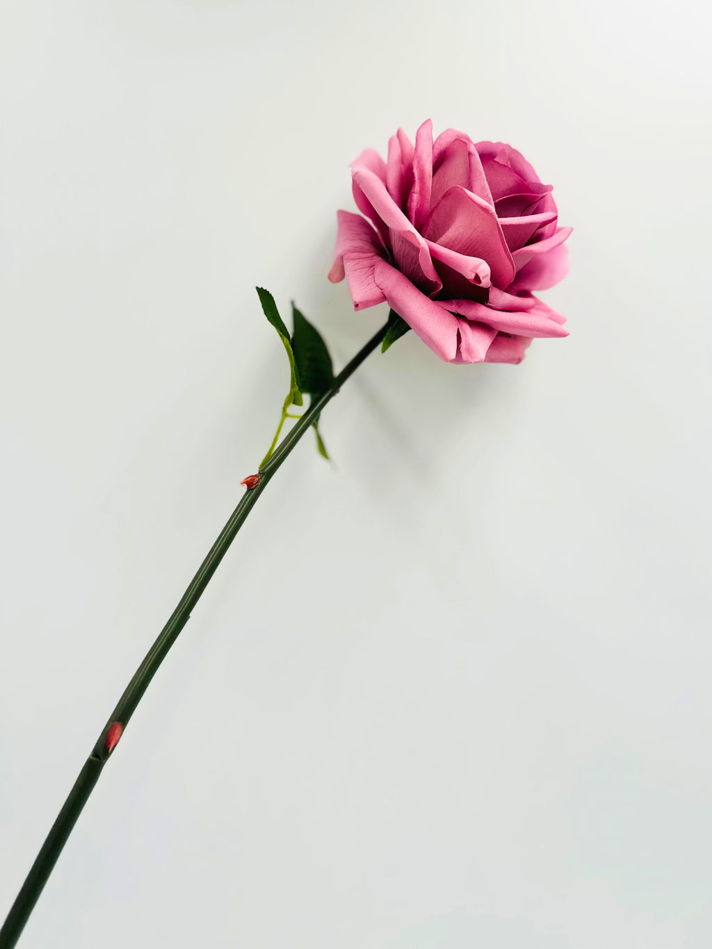 Artificial Real Touch Roses - Bundle of 10 in - Florals photo