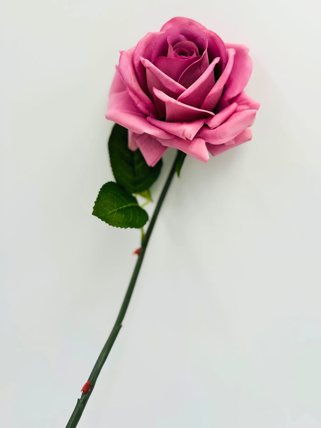 Artificial Real Touch Roses - Bundle of 10 in - Florals photo