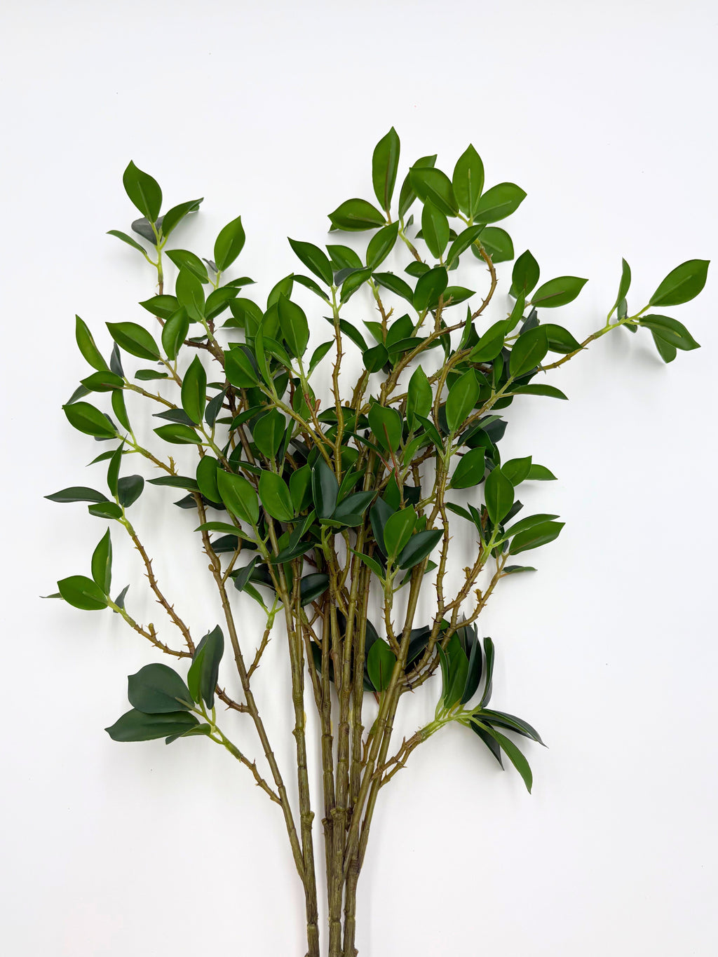 Real Touch Fiscus Microcarpa Stem - Bundle of 4 Stems in - Florals photo