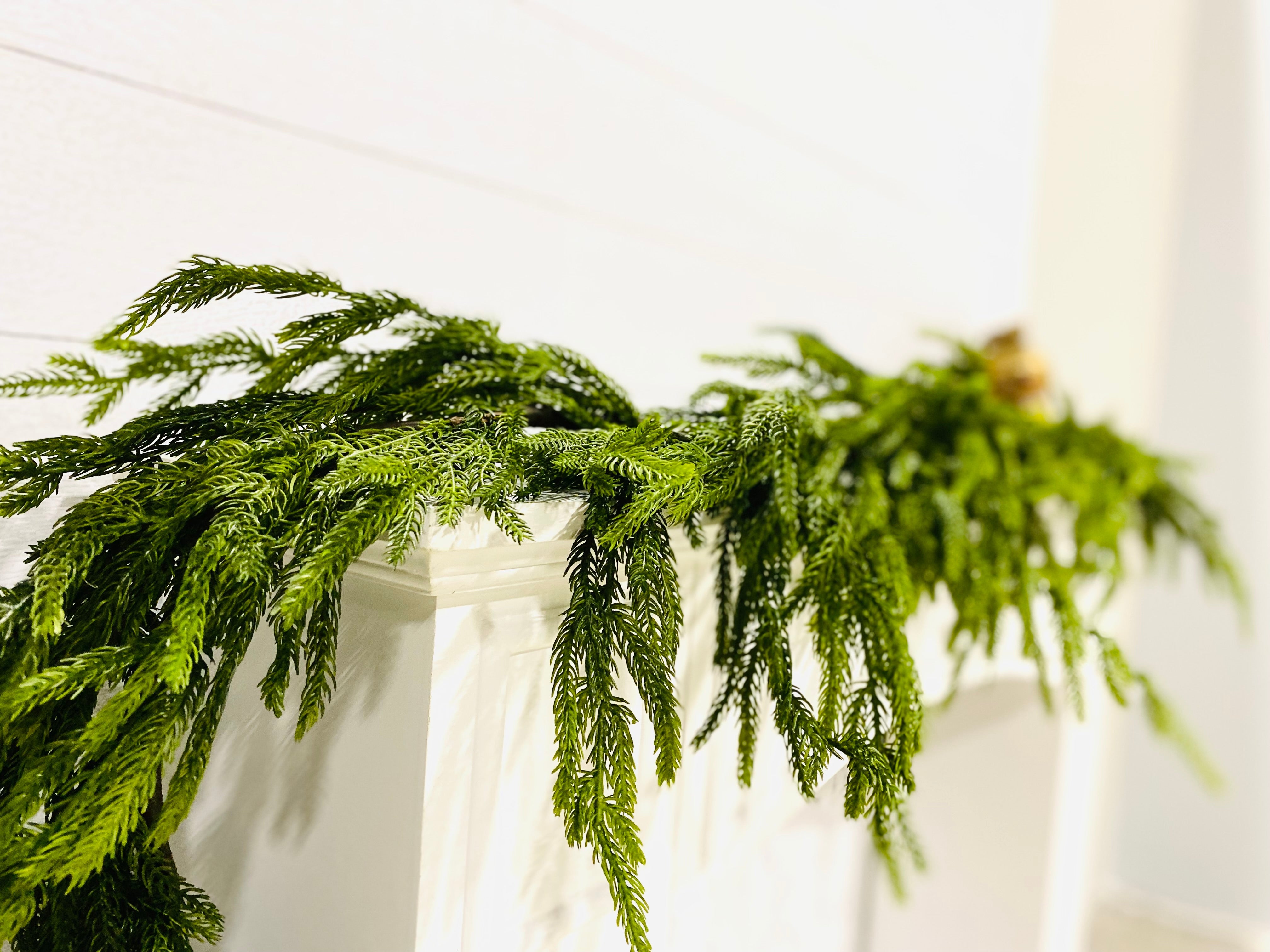 Artificial 6' Norfolk Pine Garland - Ships Next Day - SwagglyLife Home & Fashion Artificial 6' Norfolk Pine Garland - Ships Next Day - SwagglyLife Home & Fashion