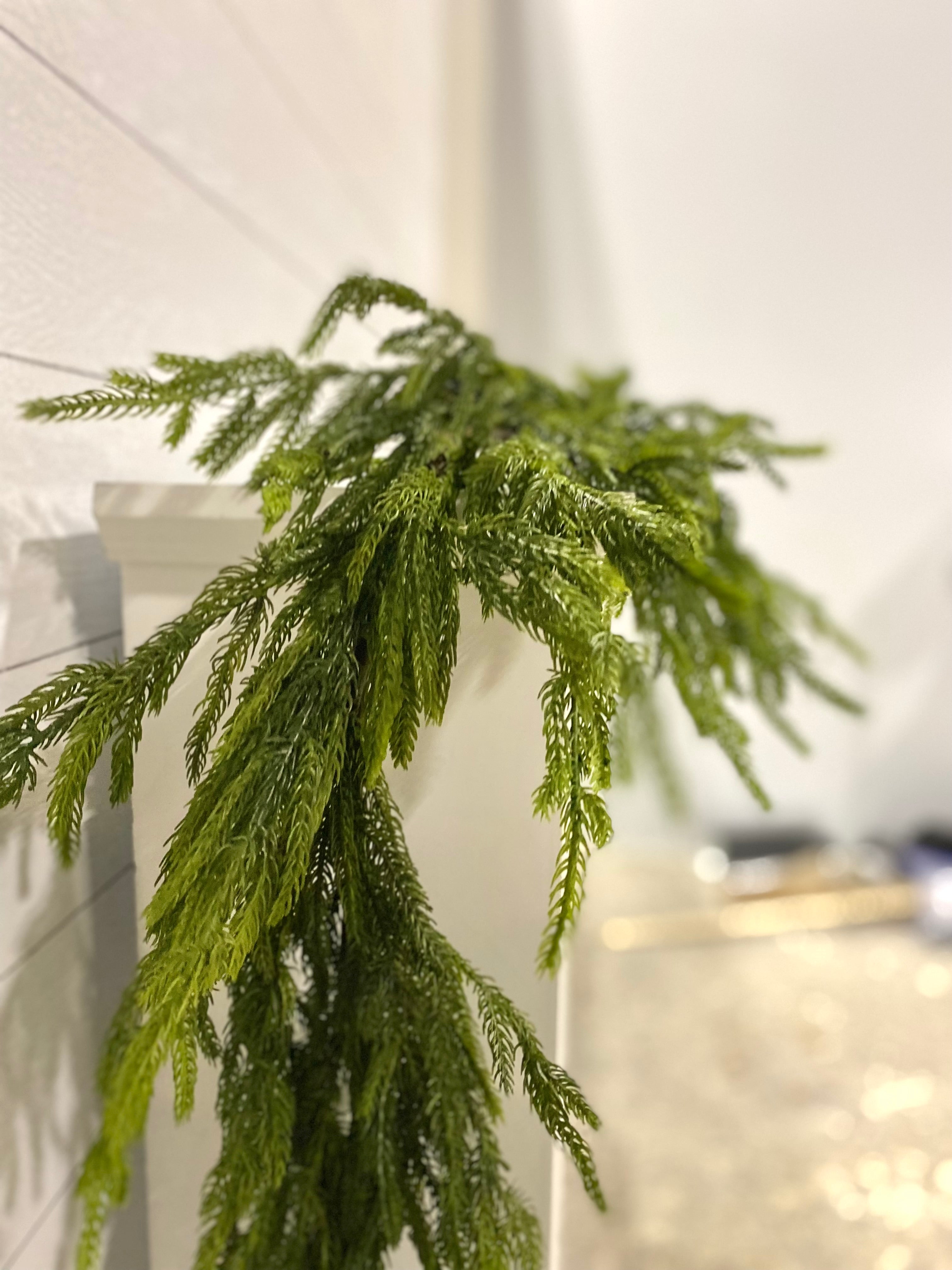 Artificial 6' Norfolk Pine Garland - Ships Next Day - SwagglyLife Home & Fashion Artificial 6' Norfolk Pine Garland - Ships Next Day - SwagglyLife Home & Fashion