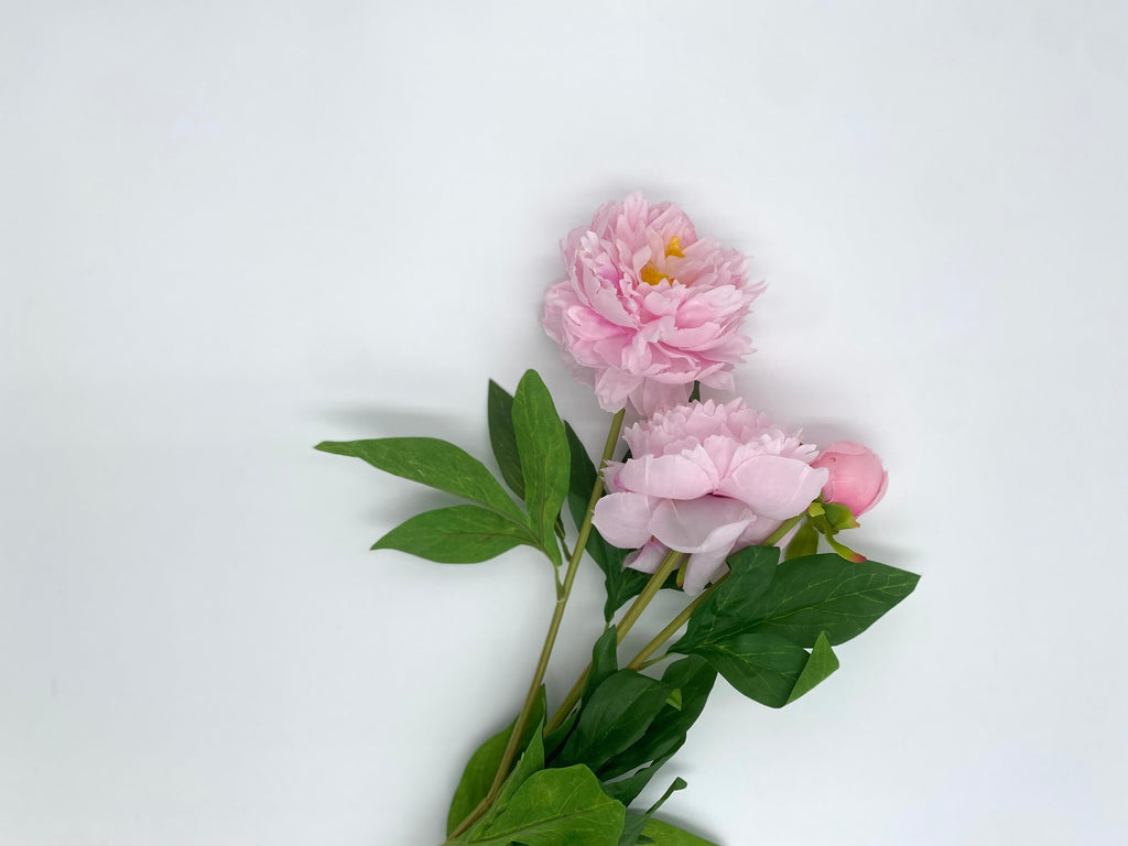 Realistic Artificial Peony - Bundle of 3 in - Florals photo