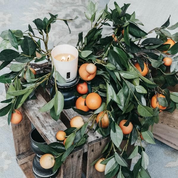 Citrus Tree - Orange Citrus Soy Candle in - candle photo
