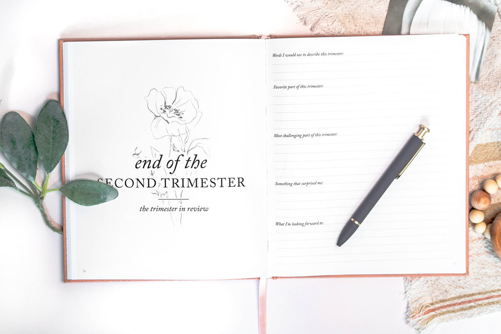 Duncan & Stone Co. Pregnancy Journal in - Journal photo