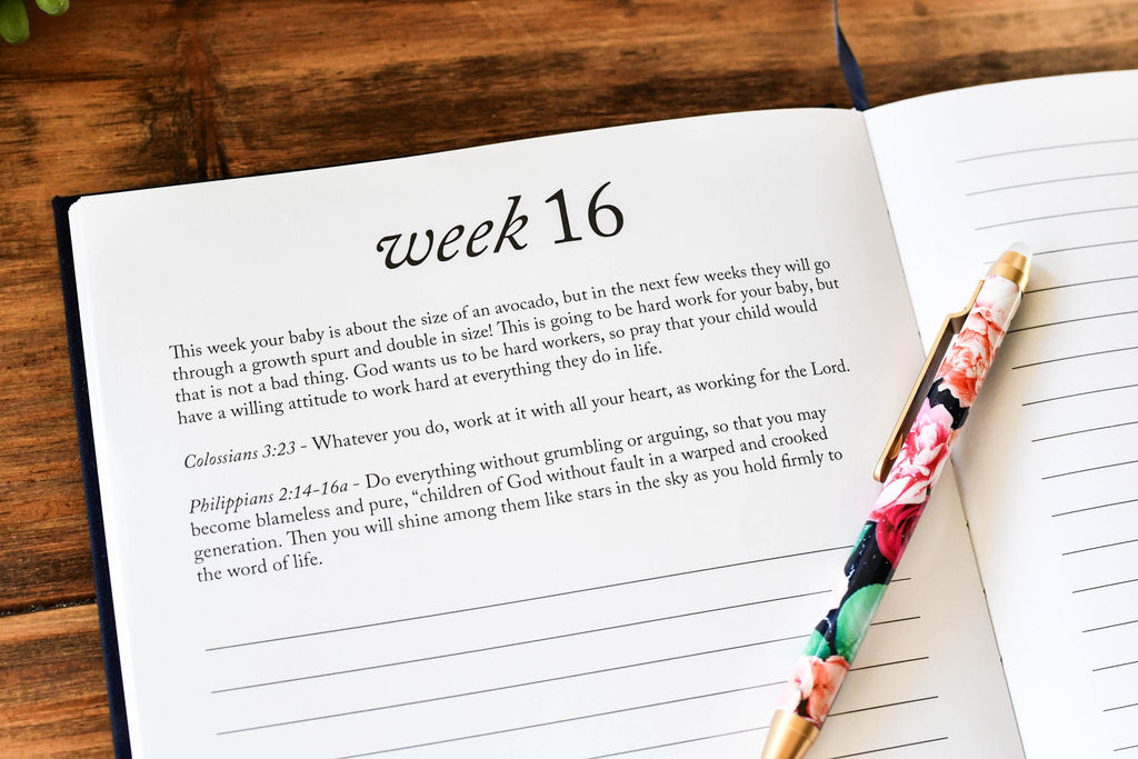 Duncan & Stone Dear Baby: Pregnancy Prayer Journal in - Journal photo