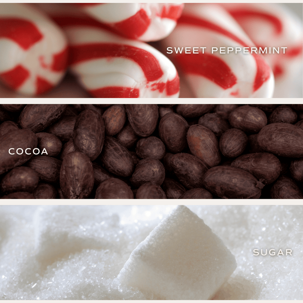 Hot Cocoa and Peppermint Soy Candle - White Jar - 11 oz in - Candles photo