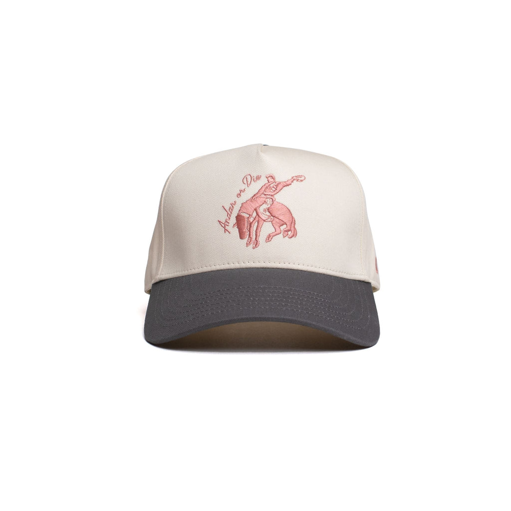 The Andar or Die Hat in Slate - Goods photo