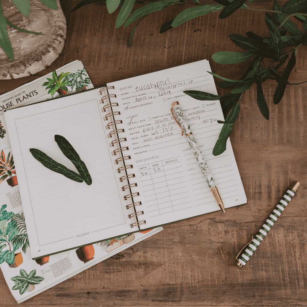 Sweet Water Decor Plant Journal in - Notebooks photo