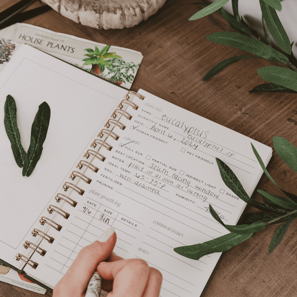 Sweet Water Decor Plant Journal in - Notebooks photo
