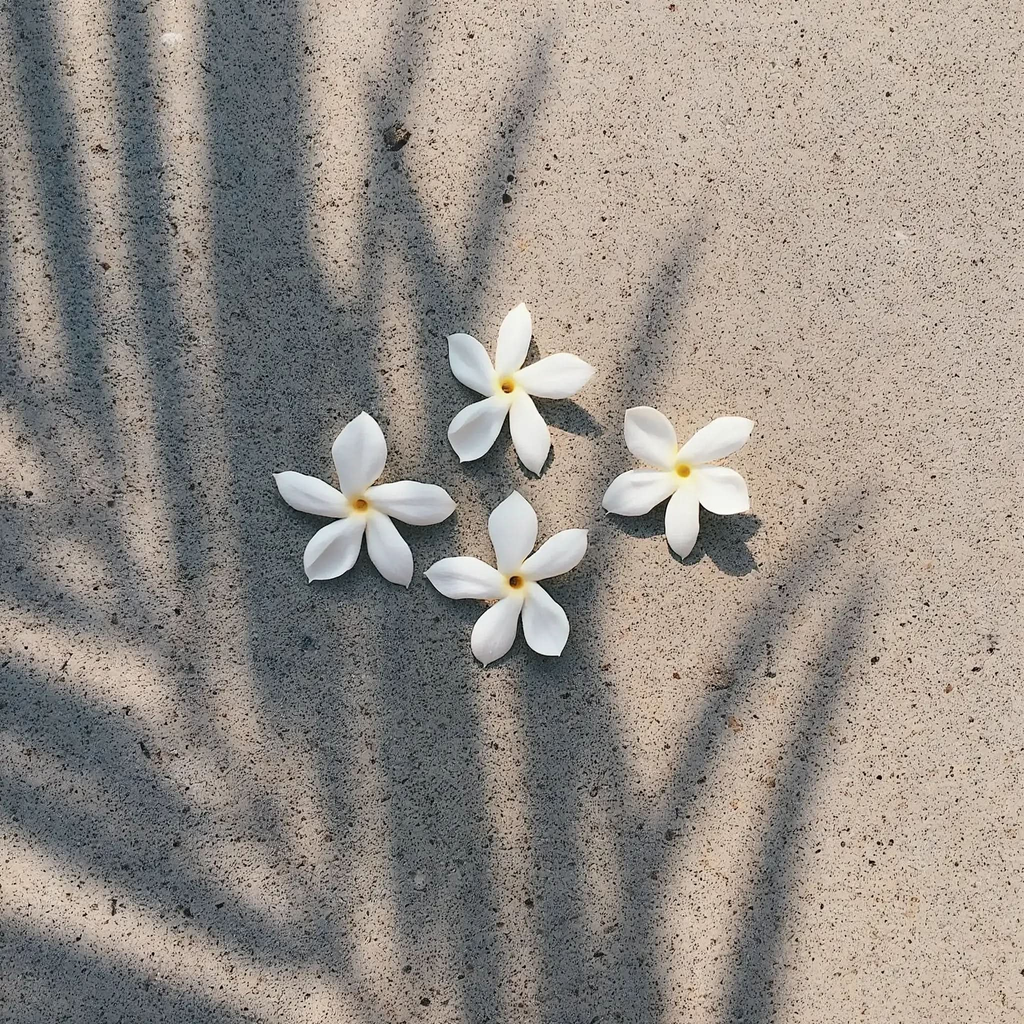 Pikake Jasmine Scented Candle in - Candle photo