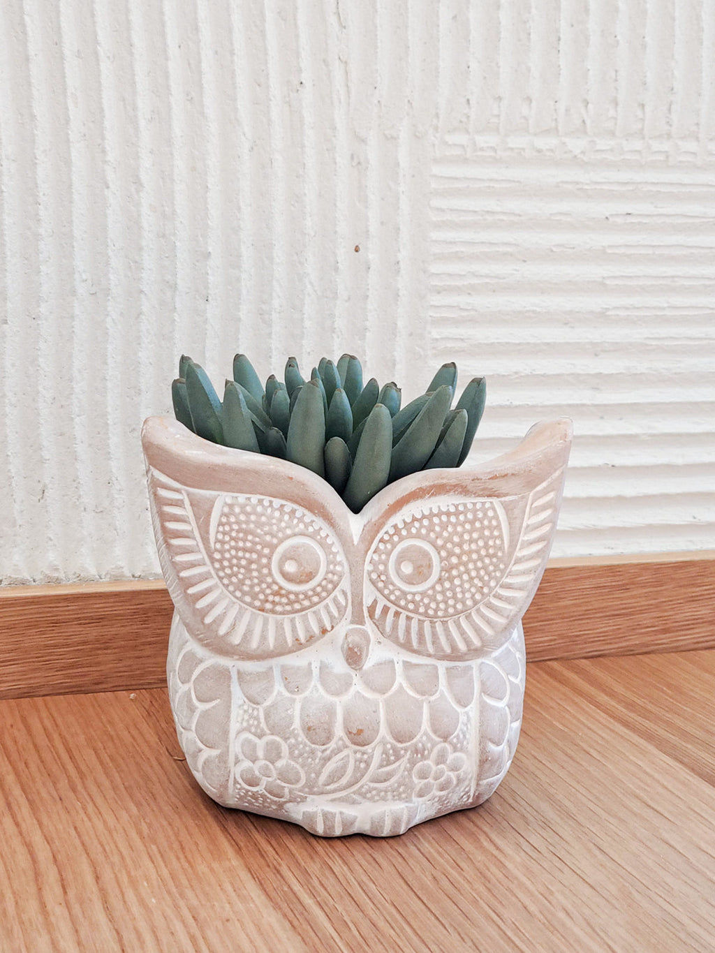 Terracotta Pot - Big Eye Owl in - photo