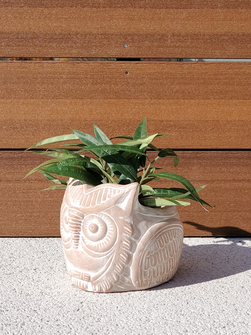 Terracotta Pot - Horned Owl in - PLANT DECOR photo