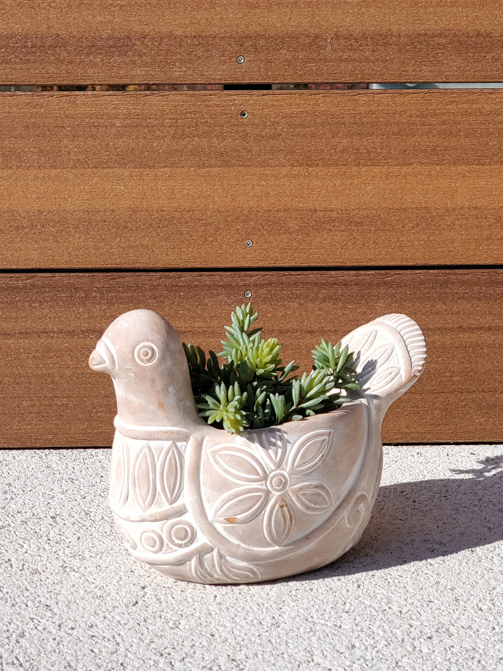 Terracotta Pot - Spotted Dove in - PLANT DECOR photo