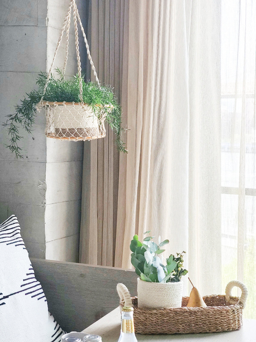 Jhuri Single Hanging Basket in - PLANT DECOR photo