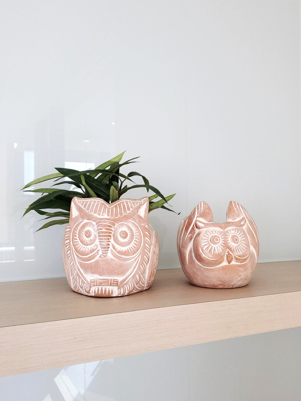 Terracotta Pot - Horned Owl in - PLANT DECOR photo