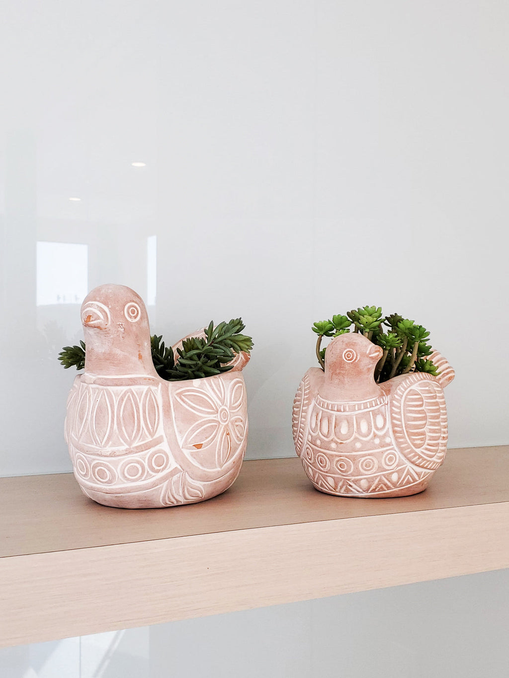 Terracotta Pot - Spotted Dove in - PLANT DECOR photo