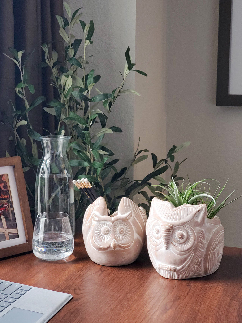 Terracotta Pot - Horned Owl in - PLANT DECOR photo