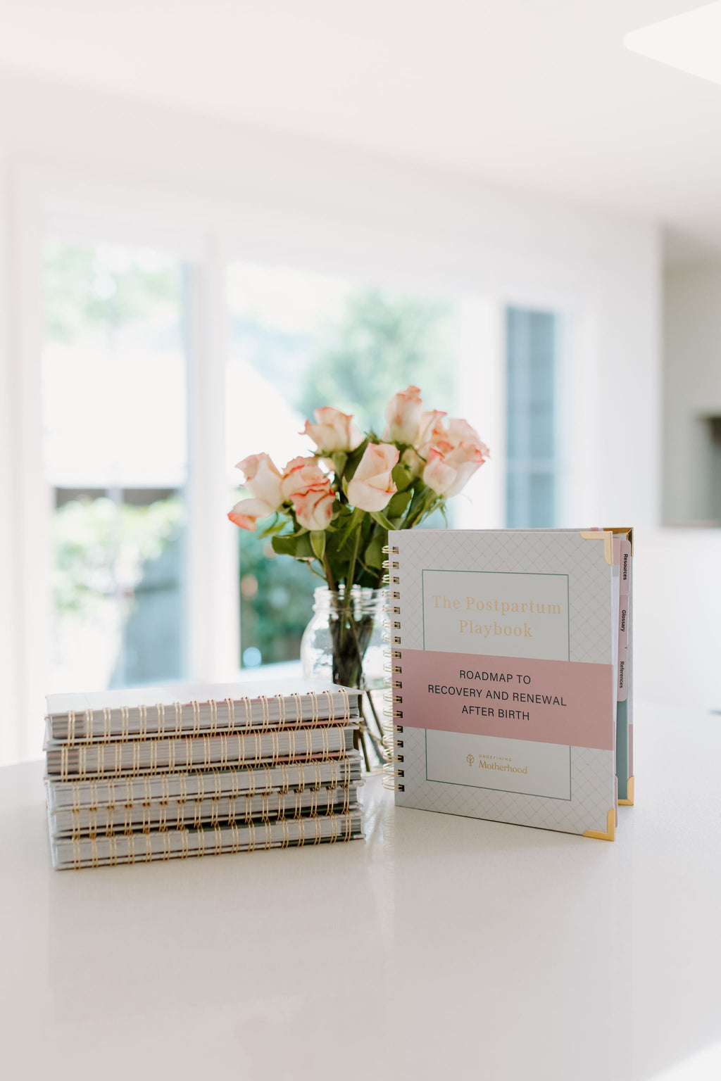 The Postpartum Playbook: Roadmap to Recovery & Renewal After Birth in - Postpartum Book photo