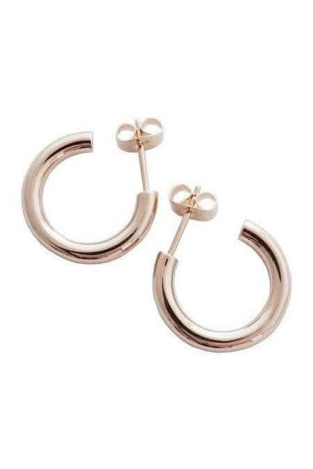 Carolina Thick Hoops - Large in - Earrings photo