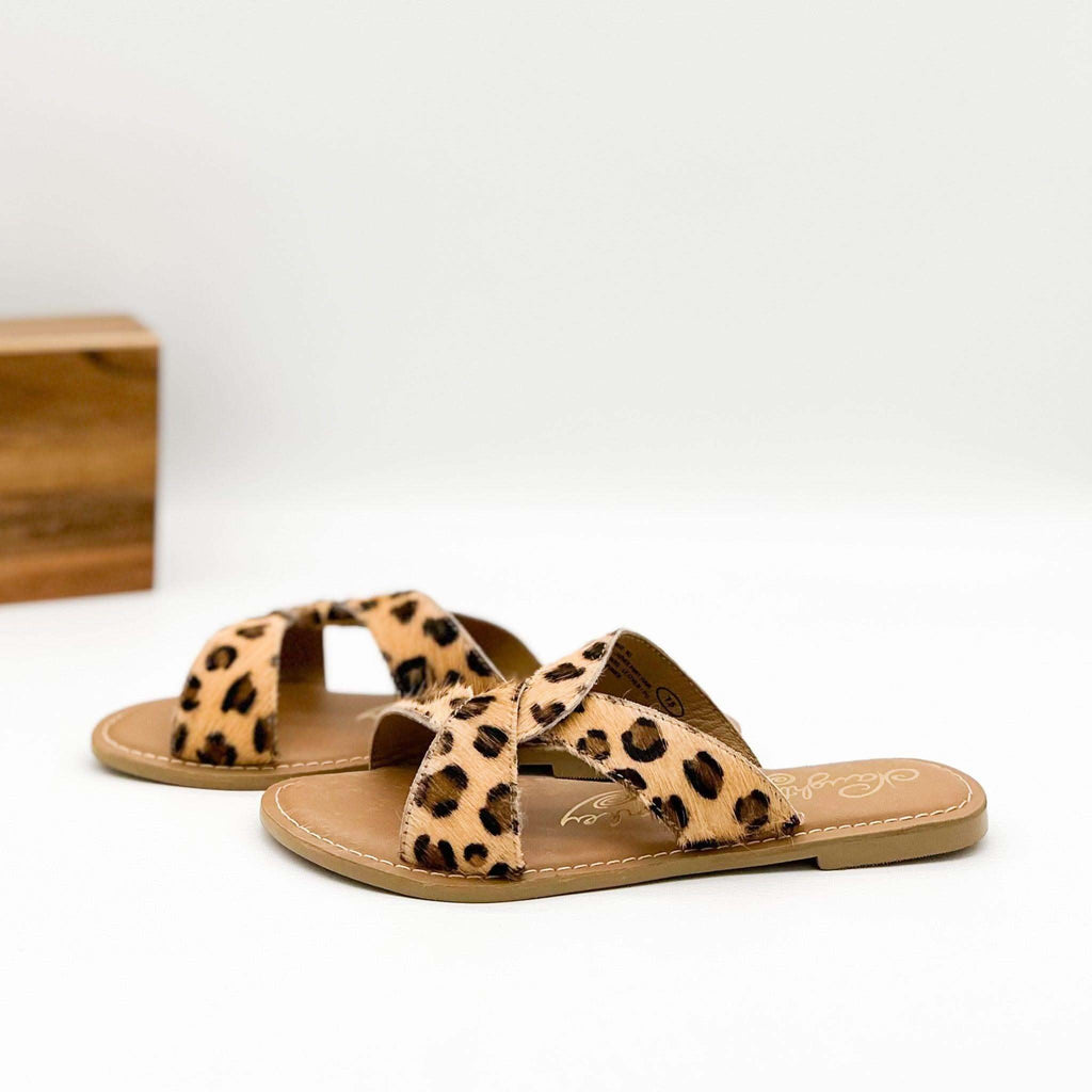 Conga Sandal in Leopard in - Sandals photo
