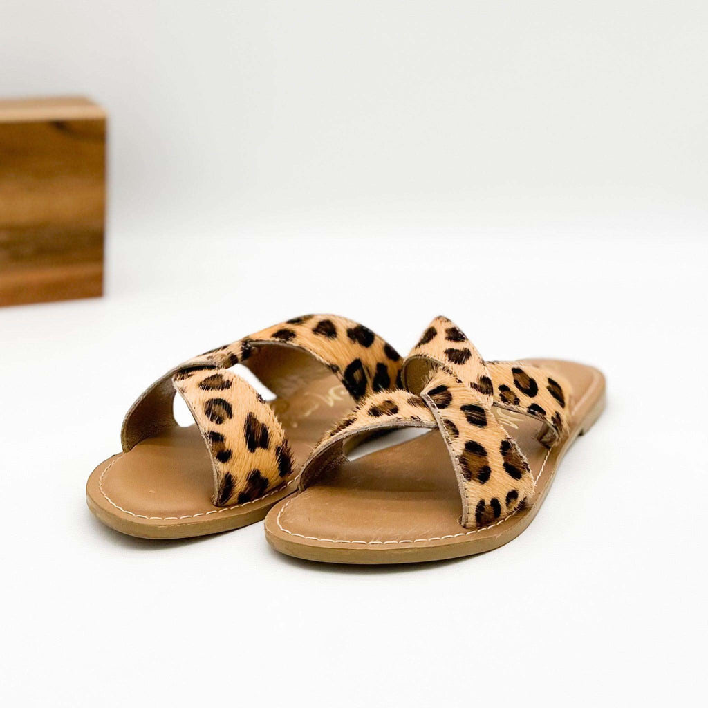 Conga Sandal in Leopard in - Sandals photo