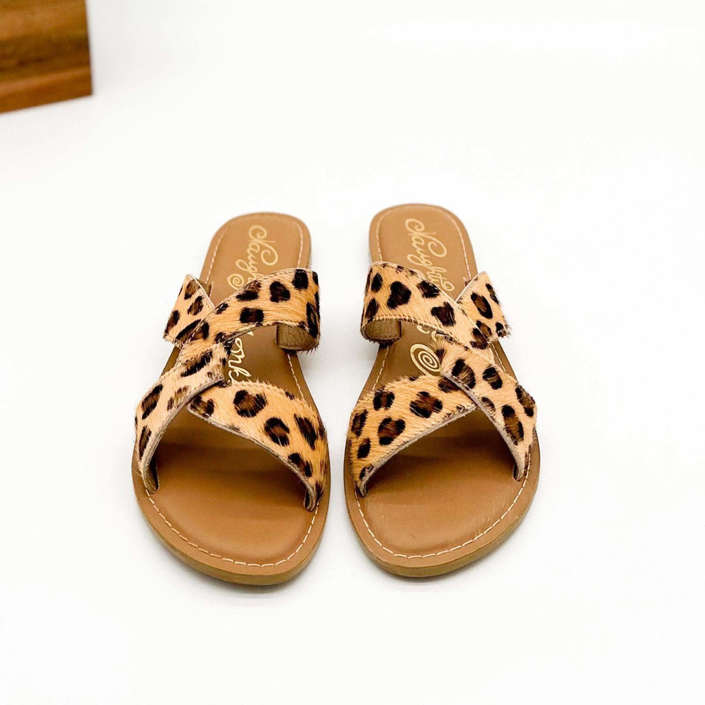 Conga Sandal in Leopard in - Sandals photo
