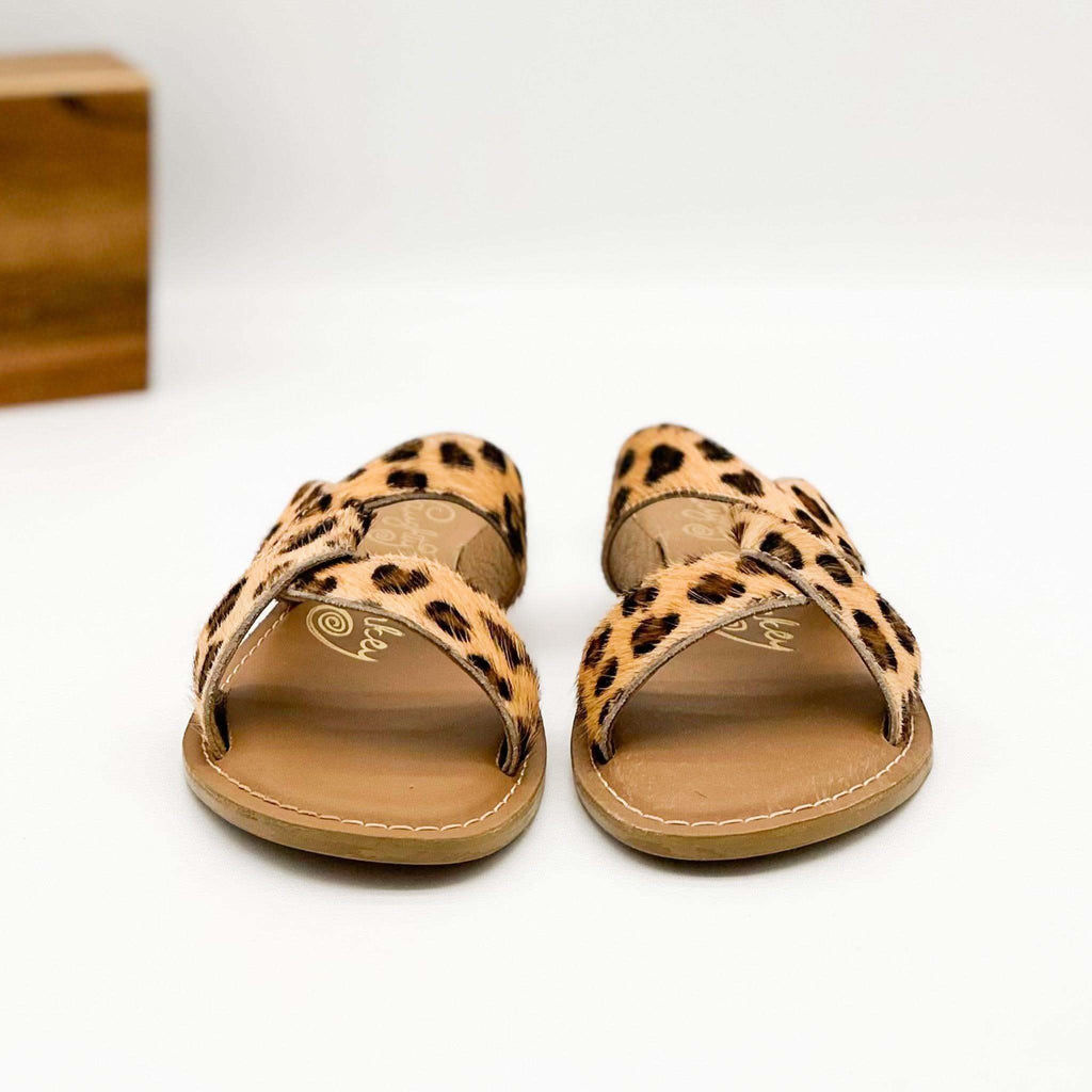Conga Sandal in Leopard in - Sandals photo