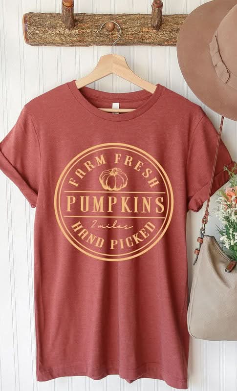 Farm Fresh Pumpkins Circle Graphic Tee in Heather Clay - photo