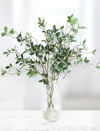 Real Touch Fiscus Microcarpa Stem - Bundle of 4 Stems in - Florals photo