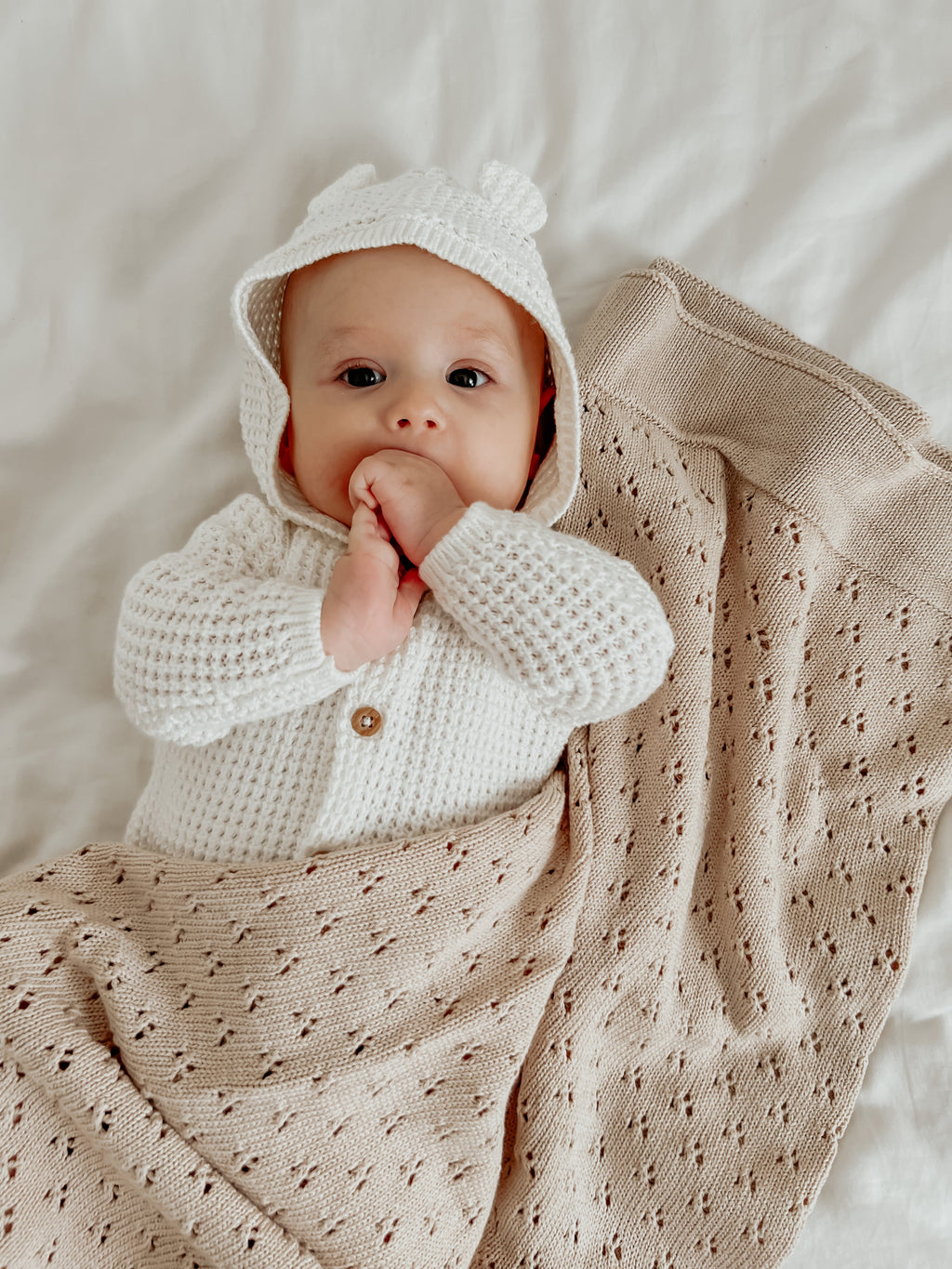 Little Mae & Co. Toffee Pointelle Knit Blanket in - photo