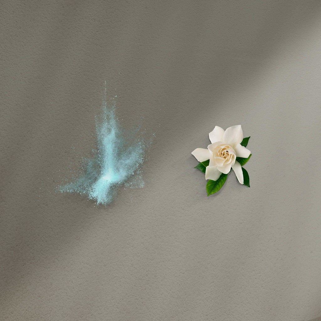 Ua Body | Hawaiian Skincare Kiele Gardenia Mist in - Body Mist photo