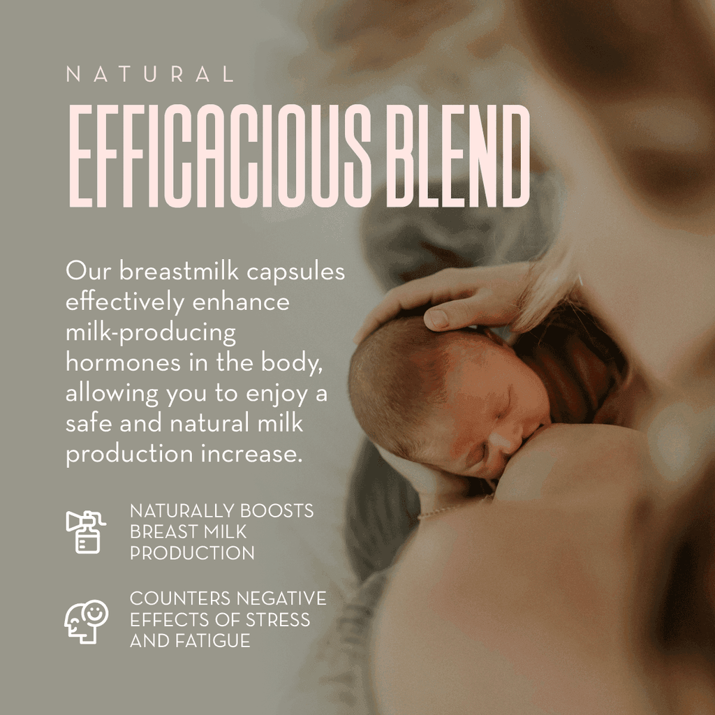 Breastfeeding Bundle | The Spoiled Mama in - Lactation Supplement> lactation support > more milk plus > increase breastmilk > increase milk supply > nursing tea > herbs to increase breast milk photo