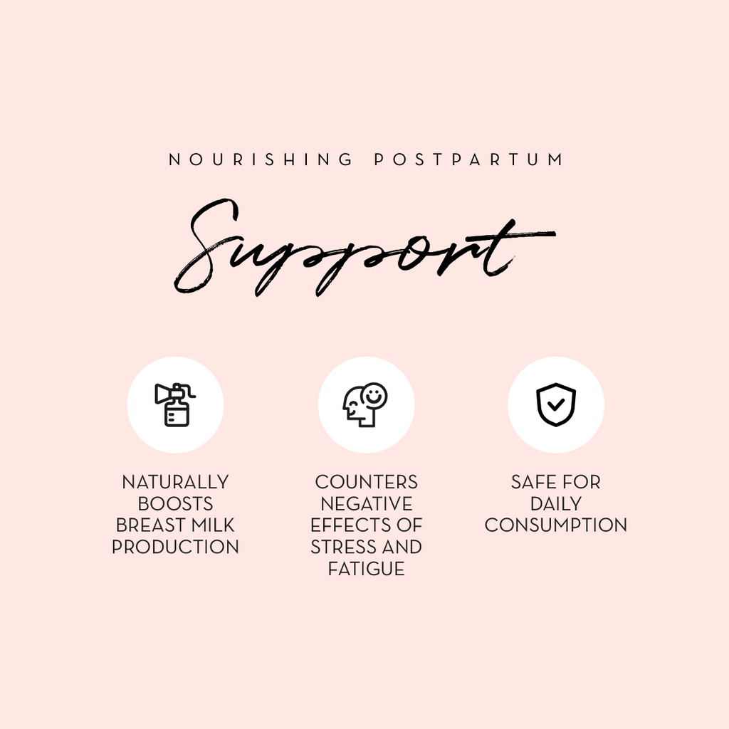 Breastfeeding Bundle - Breastfeeding Tea + Lactation Support in - Lactation Supplement> lactation support > more milk plus > increase breastmilk > increase milk supply > nursing tea > herbs to increase breast milk photo