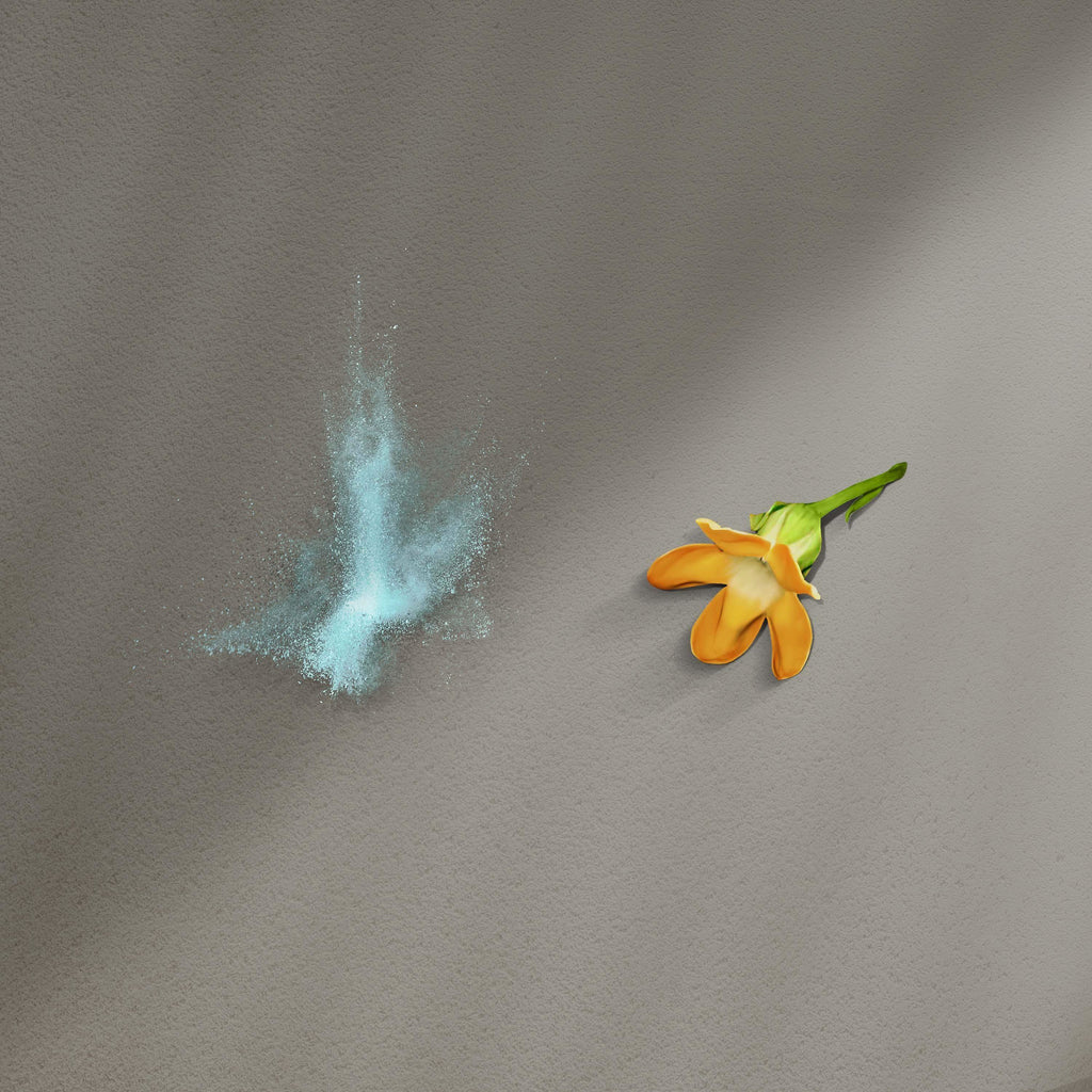 Ua Body | Hawaiian Skincare Pakalana Mist in - Body Mist photo