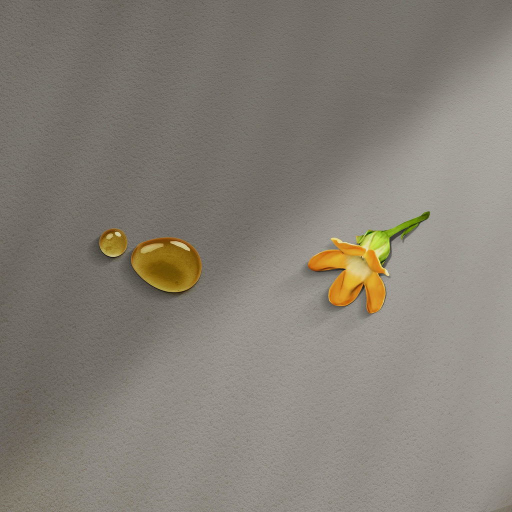 Ua Body | Hawaiian Skincare Pakalana Roller Perfume in - Roller Perfume photo