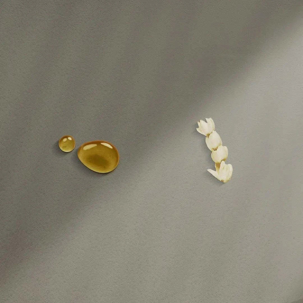 Ua Body Hawaiian Skincare Pikake Jasmine Diffuser in - Diffusers photo