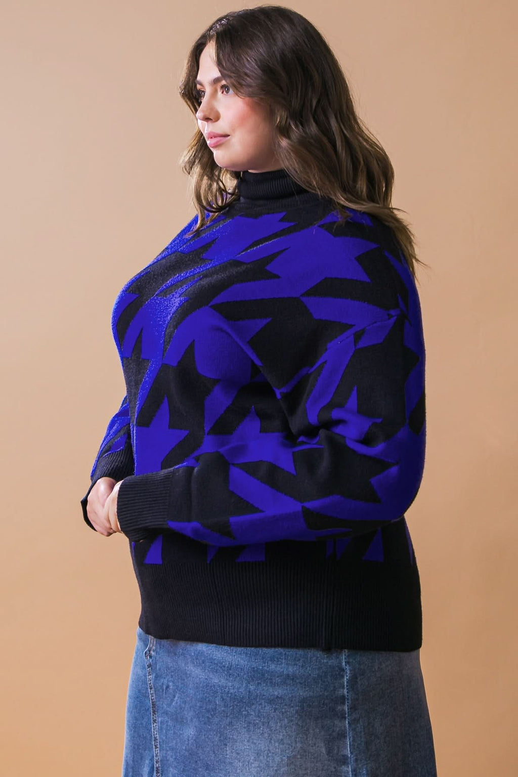 SPECIAL PLANS SWEATER in - SWEATERS photo