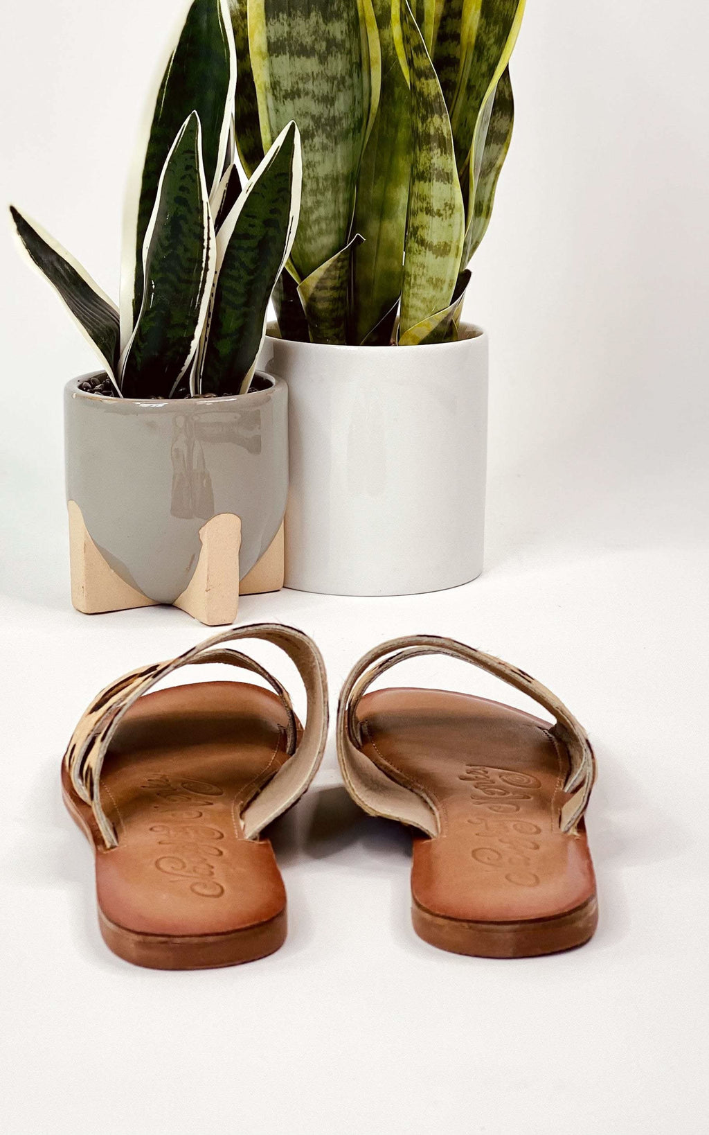 Spirited Dual Strap Slide in Leopard in - Shoes photo