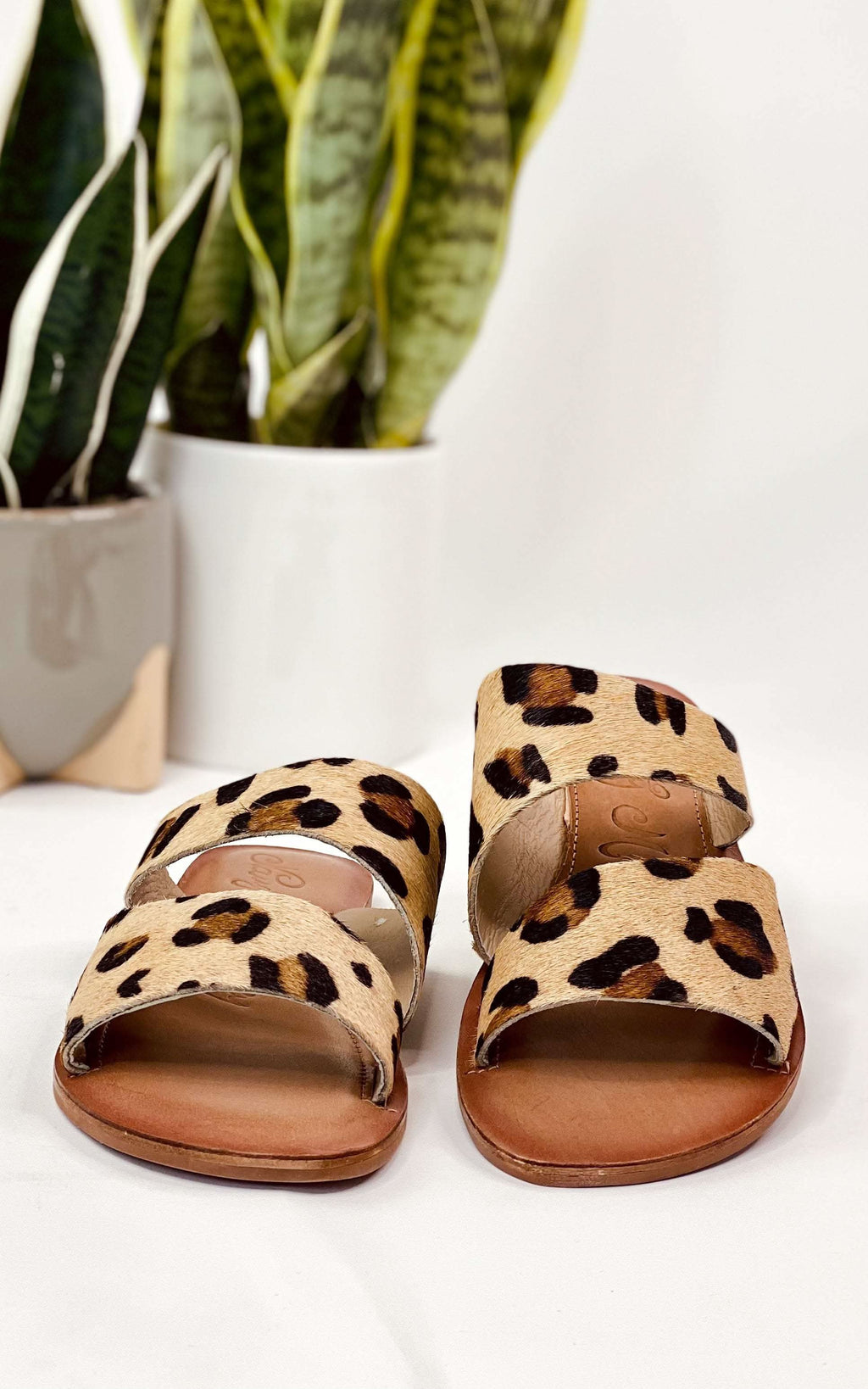 Spirited Dual Strap Slide in Leopard in - Shoes photo