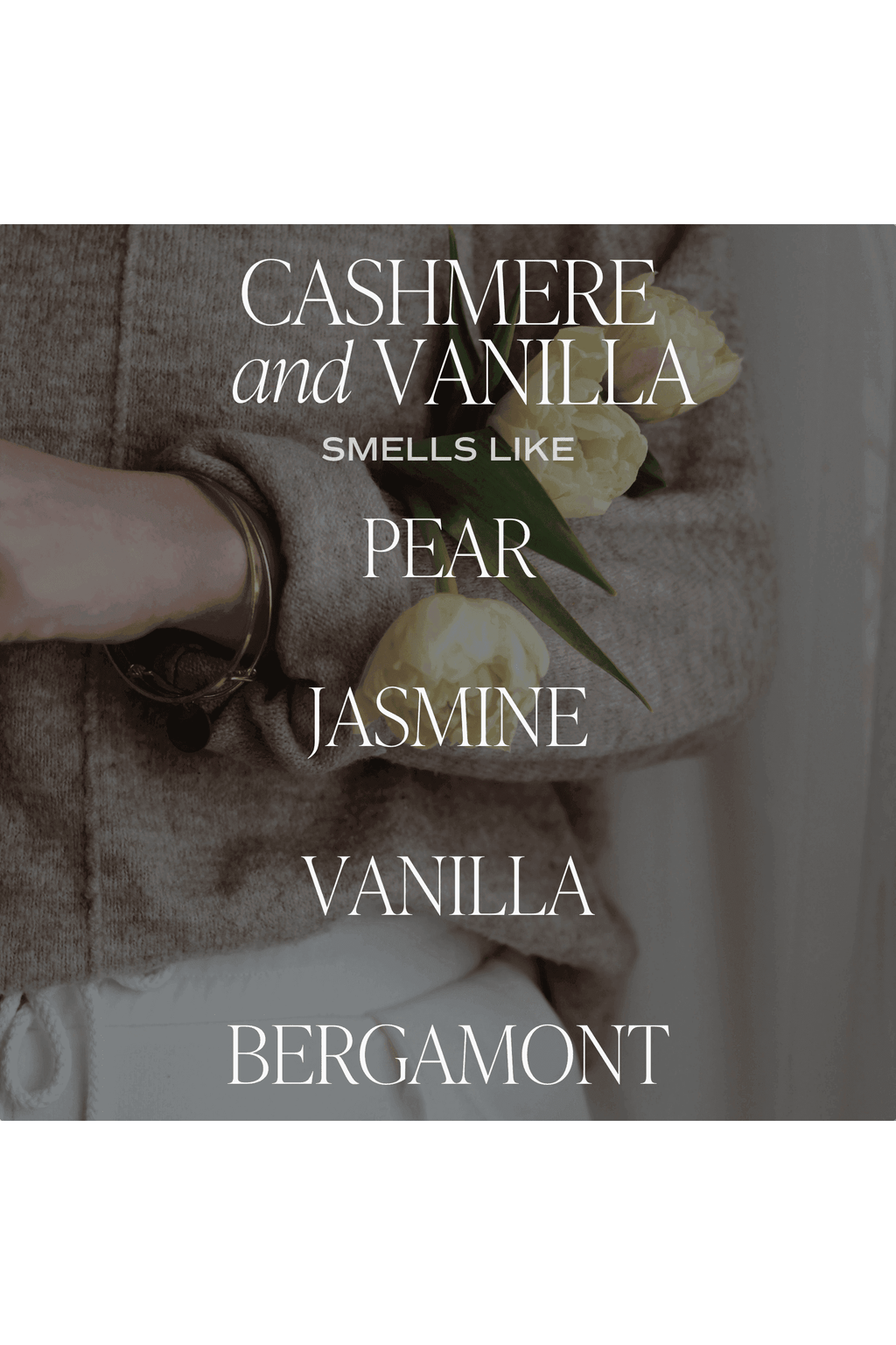 Sweet Water Decor Cashmere and Vanilla Amber Reed Diffuser in - Reed Diffusers photo