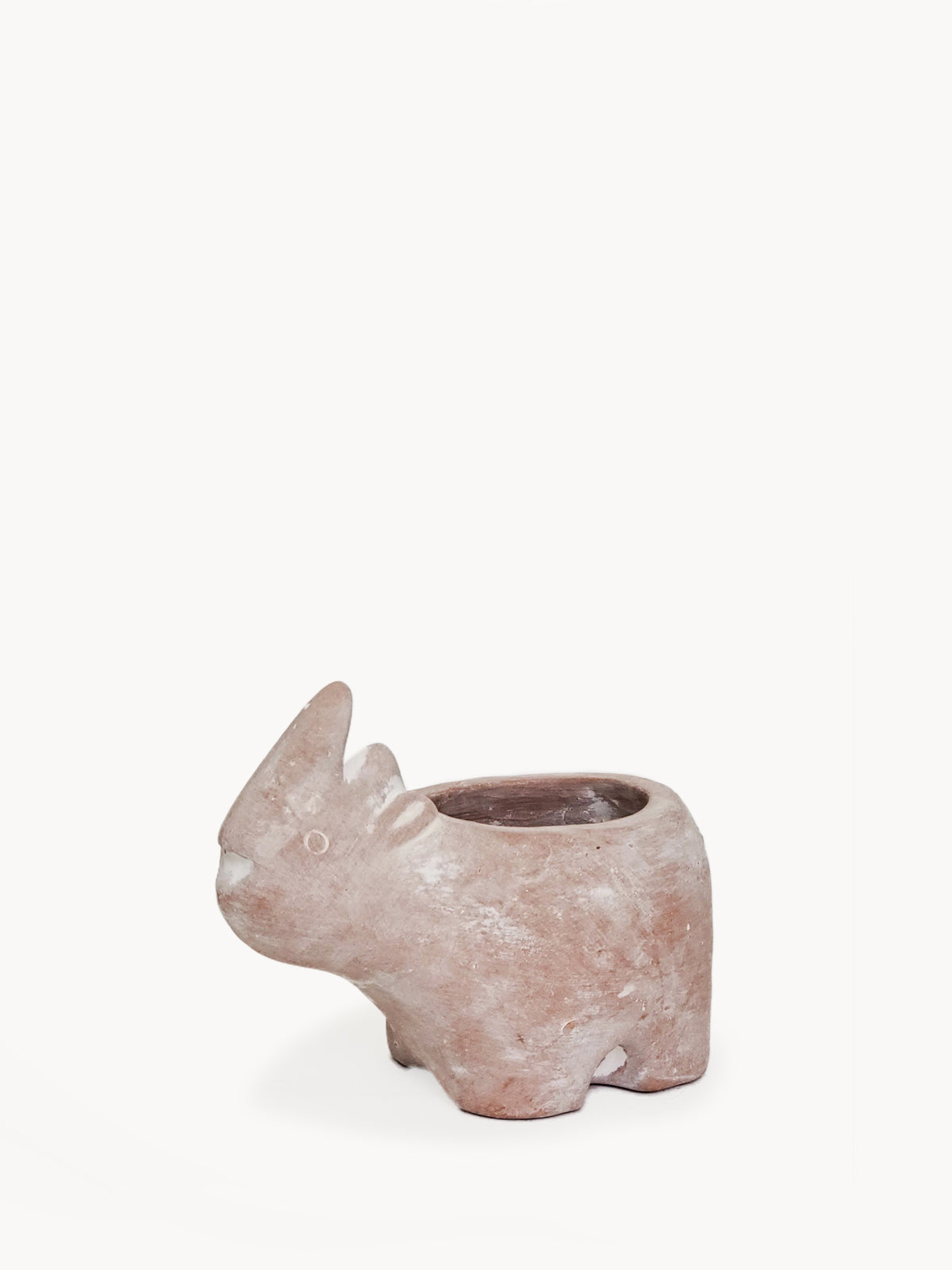 Terracotta Pot - Rhino in - photo