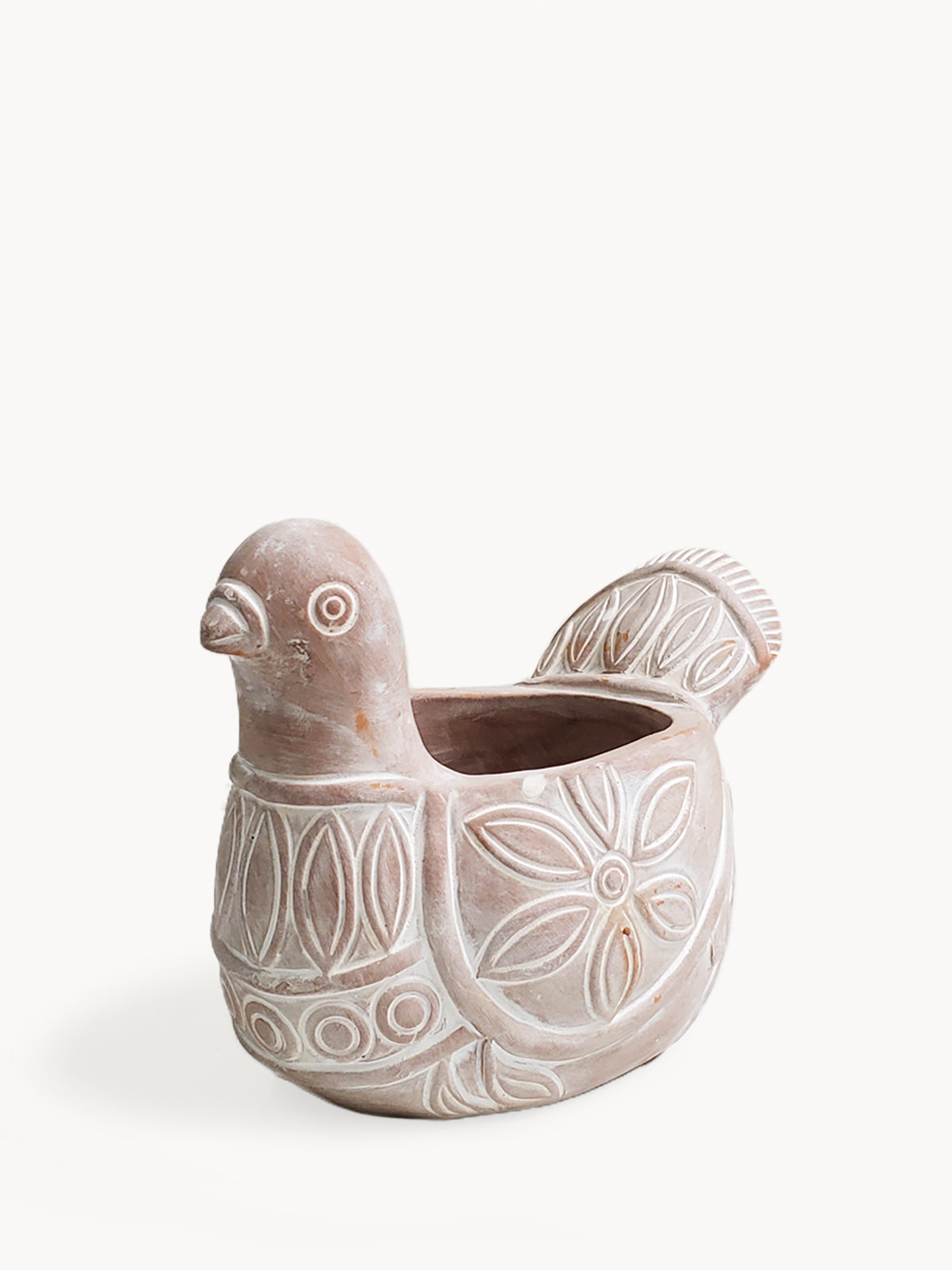 Terracotta Pot - Spotted Dove in - PLANT DECOR photo