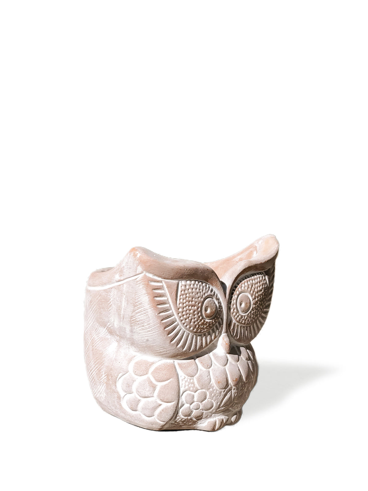 Terracotta Pot - Big Eye Owl in - photo